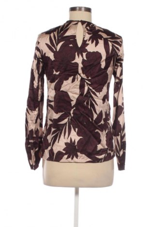 Γυναικεία μπλούζα Hallhuber, Μέγεθος XS, Χρώμα Πολύχρωμο, Τιμή 5,99 €