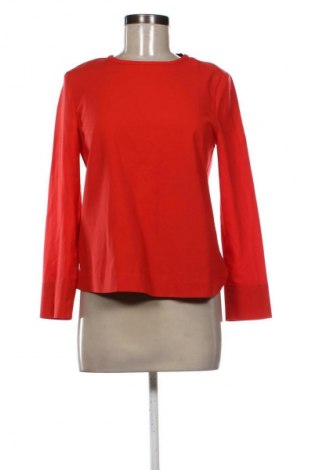 Γυναικεία μπλούζα Hallhuber, Μέγεθος M, Χρώμα Κόκκινο, Τιμή 8,99 €