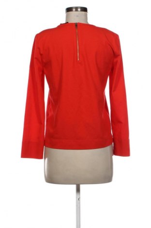 Γυναικεία μπλούζα Hallhuber, Μέγεθος M, Χρώμα Κόκκινο, Τιμή 8,99 €