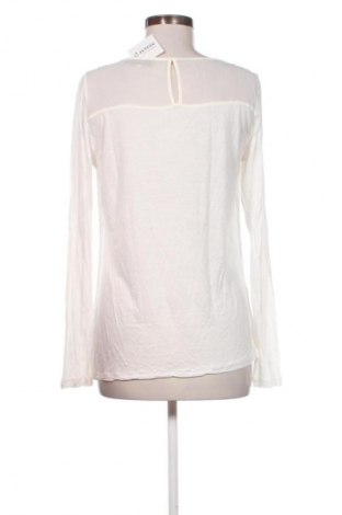 Γυναικεία μπλούζα Hallhuber, Μέγεθος M, Χρώμα Λευκό, Τιμή 29,99 €