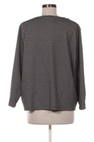 Γυναικεία μπλούζα Iwie, Μέγεθος XXL, Χρώμα Πολύχρωμο, Τιμή 10,00 €