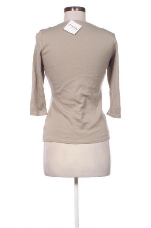 Γυναικεία μπλούζα Kalisson, Μέγεθος M, Χρώμα Πολύχρωμο, Τιμή 6,99 €