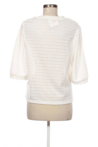 Dámska blúza Pescara, Veľkosť XL, Farba Biela, Cena  6,95 €