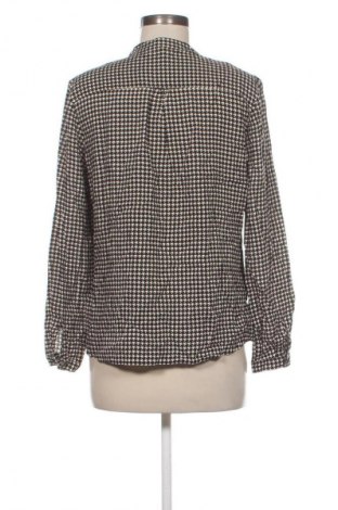 Γυναικεία μπλούζα Peter Hahn, Μέγεθος L, Χρώμα Πολύχρωμο, Τιμή 13,99 €