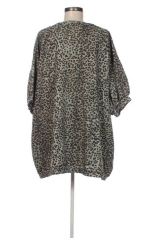 Γυναικεία μπλούζα Ragdoll, Μέγεθος M, Χρώμα Πολύχρωμο, Τιμή 71,99 €