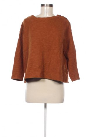 Γυναικεία μπλούζα Sessun, Μέγεθος L, Χρώμα Καφέ, Τιμή 19,99 €