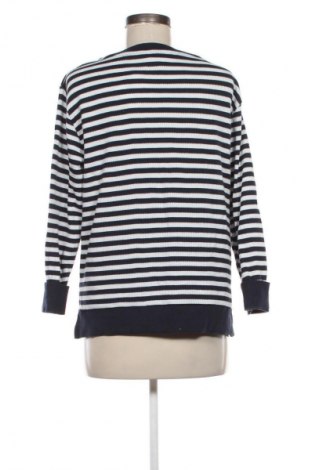 Γυναικεία μπλούζα Suzanne Grae, Μέγεθος S, Χρώμα Πολύχρωμο, Τιμή 20,99 €