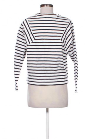 Dámska blúza Zara Trafaluc, Veľkosť M, Farba Viacfarebná, Cena  16,95 €