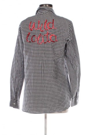 Γυναικείο πουκάμισο Bebe Plus, Μέγεθος M, Χρώμα Πολύχρωμο, Τιμή 7,99 €