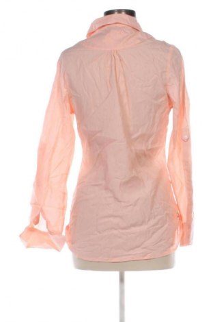 Γυναικείο πουκάμισο Bexleys, Μέγεθος S, Χρώμα Ρόζ , Τιμή 8,99 €