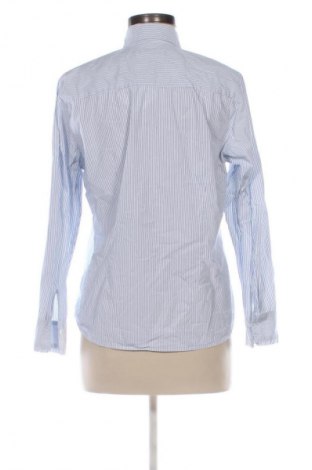 Damenbluse Brax, Größe M, Farbe Mehrfarbig, Preis € 13,99