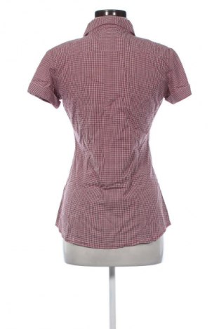 Damska koszula House, Rozmiar L, Kolor Kolorowy, Cena 69,66 zł