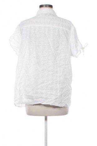 Damska koszula Kingfield, Rozmiar XXL, Kolor Biały, Cena 67,99 zł