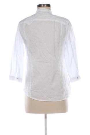 Damska koszula Lardini By Laura Lardini, Rozmiar M, Kolor Kolorowy, Cena 61,99 zł