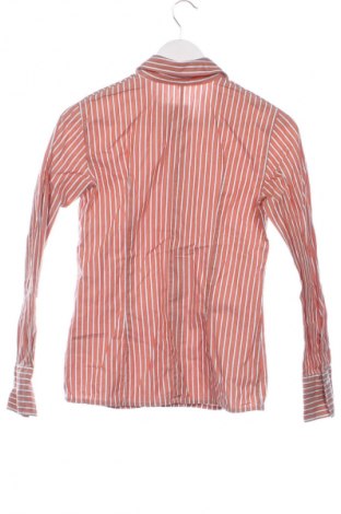 Dámská košile  Marco Pecci, Velikost XS, Barva Vícebarevné, Cena  179,00 Kč