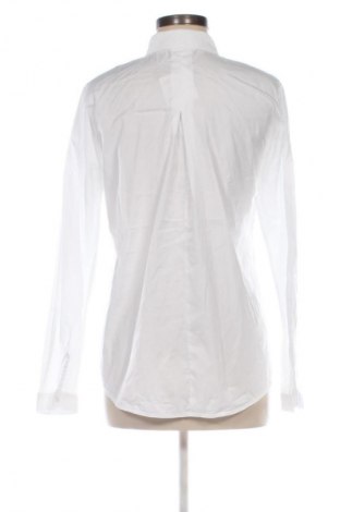 Damska koszula Peckott, Rozmiar M, Kolor Biały, Cena 27,99 zł