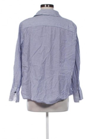 Damenbluse Peter Hahn, Größe XXL, Farbe Mehrfarbig, Preis € 22,99