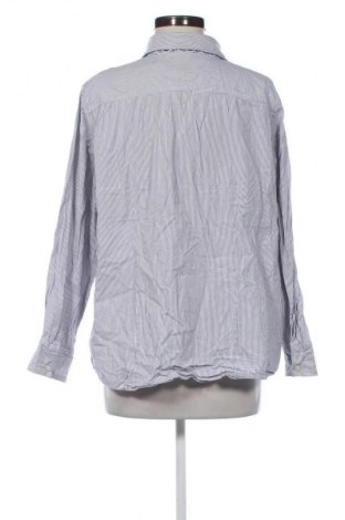 Γυναικείο πουκάμισο Peter Hahn, Μέγεθος XXL, Χρώμα Πολύχρωμο, Τιμή 20,99 €