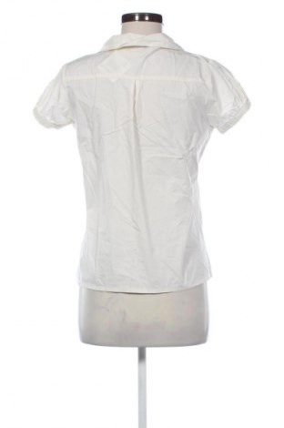 Damska koszula Tex Woman, Rozmiar M, Kolor ecru, Cena 41,11 zł