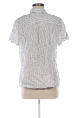 Damenbluse Yessica, Größe XL, Farbe Mehrfarbig, Preis € 8,99