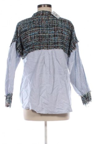 Damenbluse Zara, Größe L, Farbe Mehrfarbig, Preis € 11,99