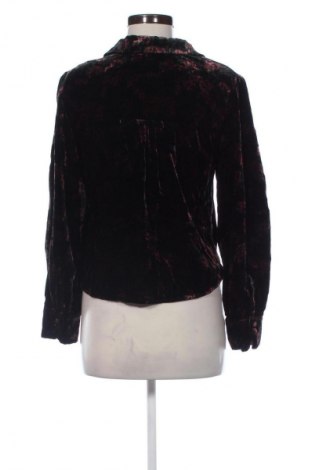 Damenbluse Zara, Größe M, Farbe Mehrfarbig, Preis € 12,99