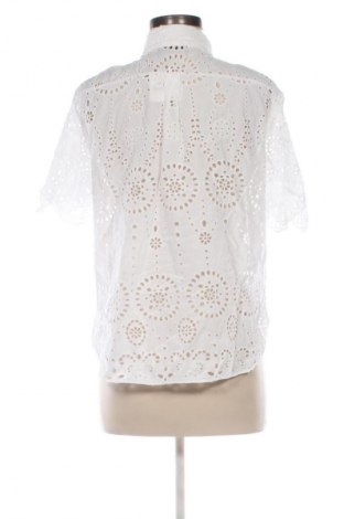 Dámská košile  Zara, Velikost L, Barva Vícebarevné, Cena  239,00 Kč