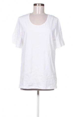 Γυναικείο t-shirt Chicoree, Μέγεθος XL, Χρώμα Λευκό, Τιμή 8,99 €