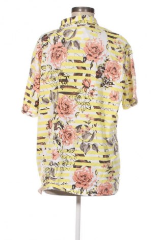 Damen T-Shirt Pima Cotton, Größe XL, Farbe Mehrfarbig, Preis 7,99 €