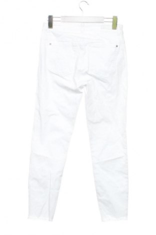 Damen Jeans Comma,, Größe M, Farbe Weiß, Preis € 22,99
