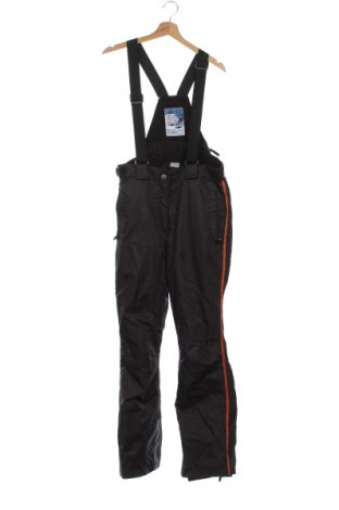 Dámská kombinéza pro zimní sporty  Crane, Velikost XL, Barva Hnědá, Cena  1 479,00 Kč