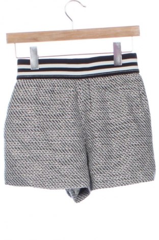 Damen Shorts Pinko, Größe XS, Farbe Mehrfarbig, Preis € 46,99