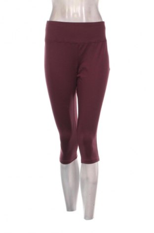 Damskie legginsy TCM, Rozmiar L, Kolor Fioletowy, Cena 28,99 zł