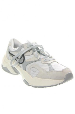 Γυναικεία παπούτσια Nike, Μέγεθος 40, Χρώμα Πολύχρωμο, Τιμή 104,99 €