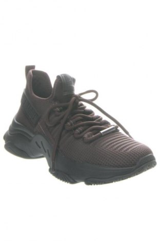 Obuwie damskie Steve Madden, Rozmiar 41, Kolor Brązowy, Cena 549,99 zł