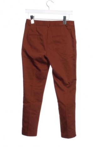 Damenhose Stradivarius, Größe S, Farbe Braun, Preis 8,99 €
