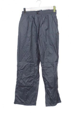 Damenhose für Wintersport Belfe, Größe M, Farbe Grau, Preis € 73,99