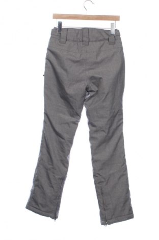 Spodnie damskie do uprawiania sportów zimowych Crane, Rozmiar M, Kolor Szary, Cena 71,99 zł