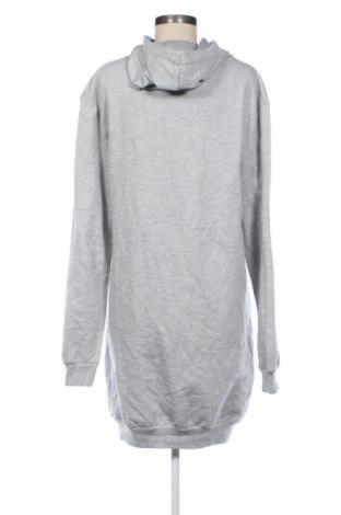Damen Sweatshirt Unbranded, Größe XL, Farbe Grau, Preis € 15,99