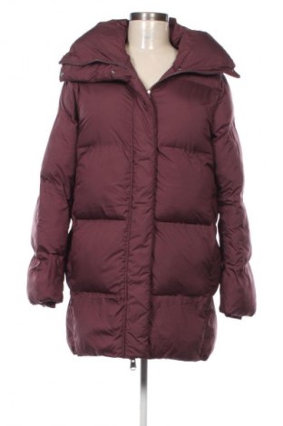 Γυναικείο μπουφάν Amisu, Μέγεθος XXS, Χρώμα Κόκκινο, Τιμή 28,99 €