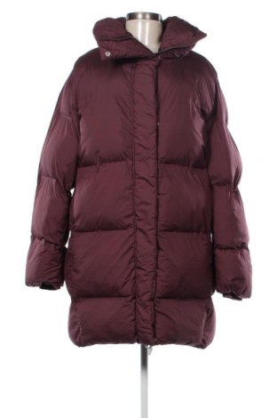 Női dzseki Amisu, Méret M, Szín Lila, Ár 5 539 Ft