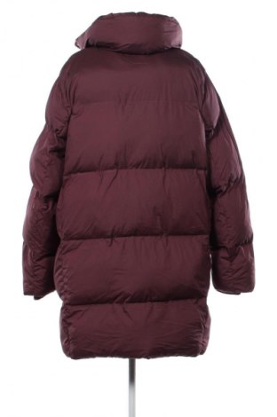 Női dzseki Amisu, Méret M, Szín Lila, Ár 5 539 Ft