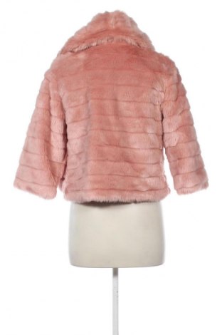 Γυναικείο μπουφάν Primadonna, Μέγεθος M, Χρώμα Ρόζ , Τιμή 14,99 €