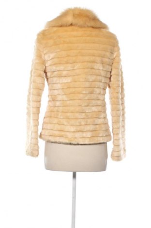 Damenjacke Unbranded, Größe S, Farbe Gelb, Preis € 54,57