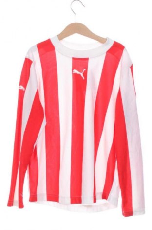 Παιδική μπλούζα PUMA, Μέγεθος 8-9y/ 134-140 εκ., Χρώμα Πολύχρωμο, Τιμή 13,00 €