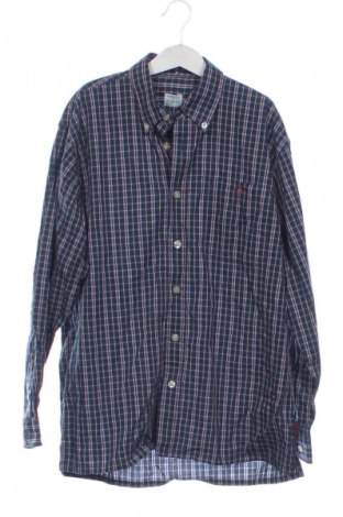 Kinderhemd Unbranded, Größe 11-12y/ 152-158 cm, Farbe Mehrfarbig, Preis € 4,99