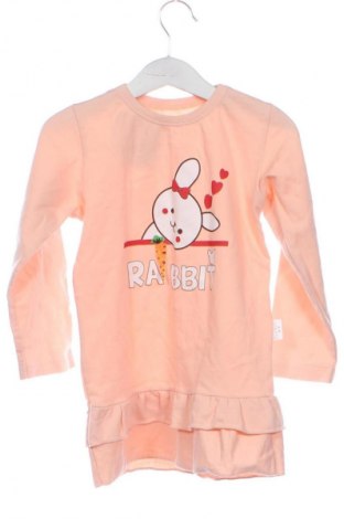 Παιδικό φόρεμα Unbranded, Μέγεθος 3-4y/ 104-110 εκ., Χρώμα Πορτοκαλί, Τιμή 12,00 €