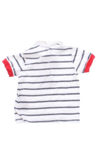 Dziecięcy T-shirt Chicco, Rozmiar 12-18m/ 80-86 cm, Kolor Kolorowy, Cena 28,36 zł