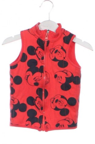 Детски елек Disney, Размер 12-18m/ 80-86 см, Цвят Многоцветен, Цена 11,00 €