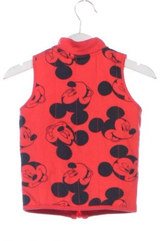 Детски елек Disney, Размер 12-18m/ 80-86 см, Цвят Многоцветен, Цена 11,00 €